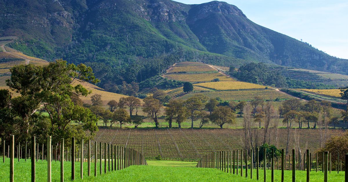 Cape Winelands Cape Town South Africa