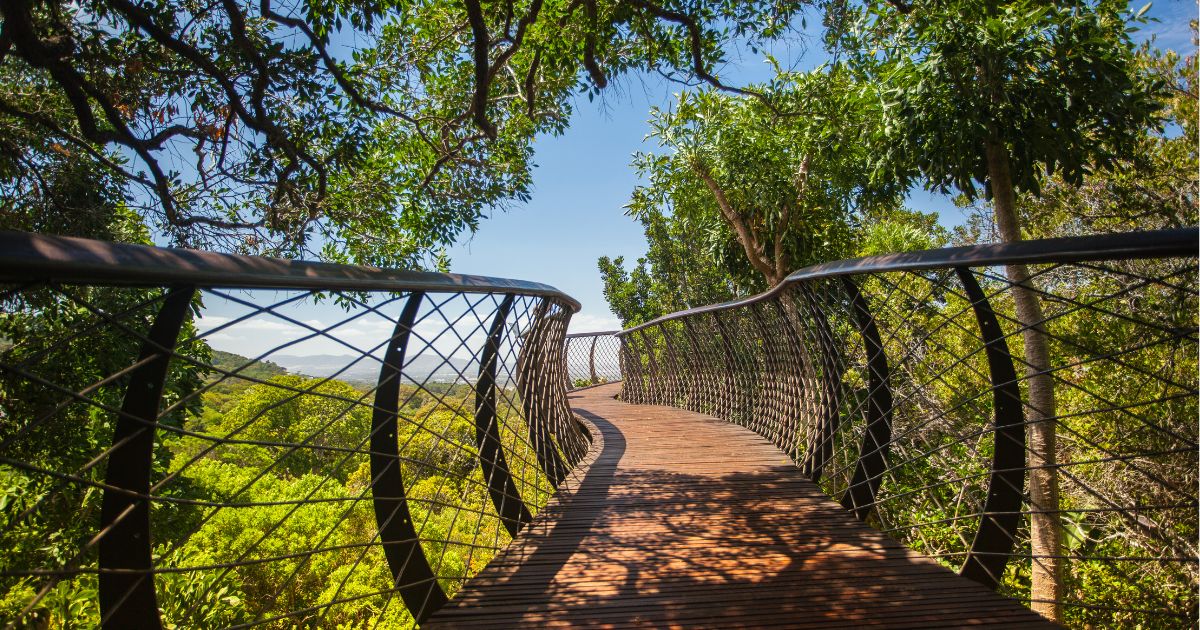 Kirstenbosch National Botanical Garden Cape Town South Africa