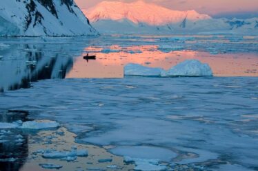 The Weddell Sea Antarctic Peninsula