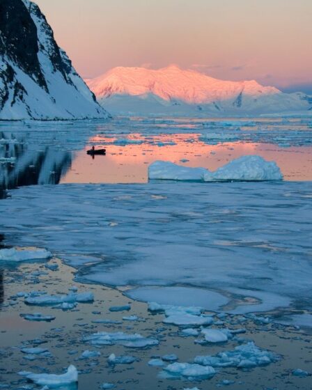 The Weddell Sea Antarctic Peninsula