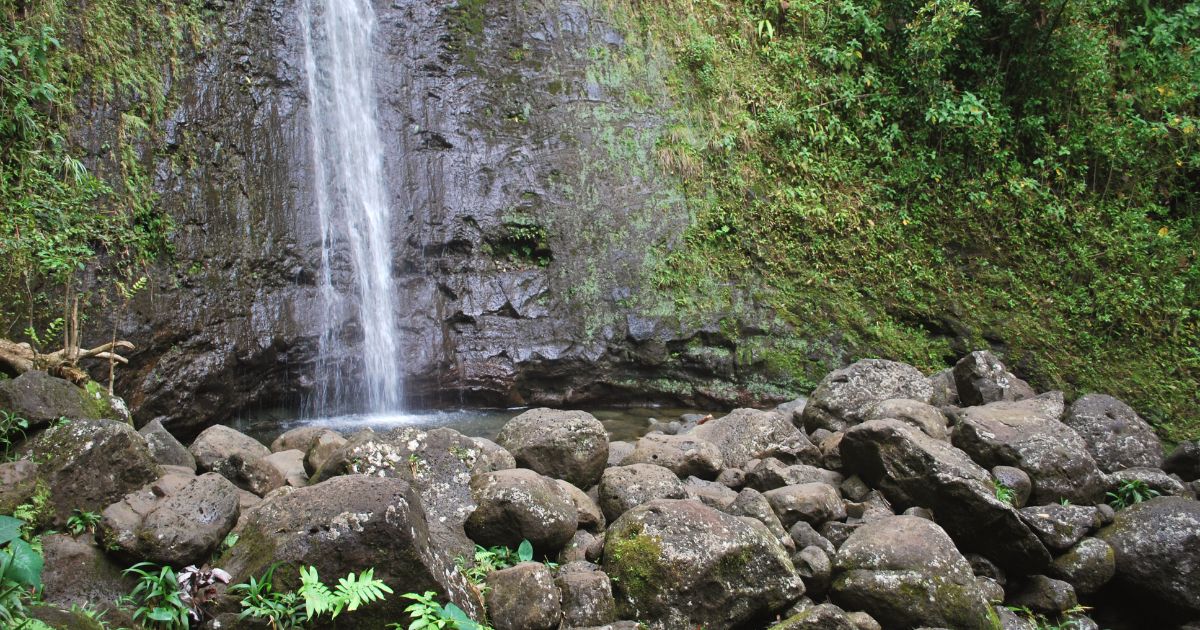 manoa falls honolulu hi