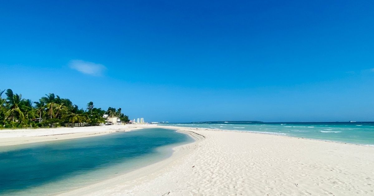 Find Cheap Flights