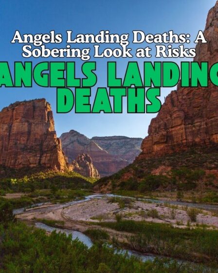 Angels Landing Deaths