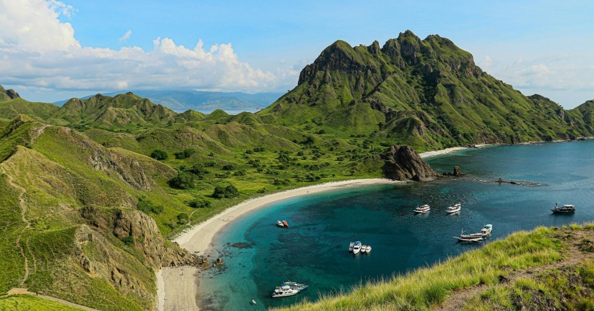 Pee Pee Island Pee Pee Island