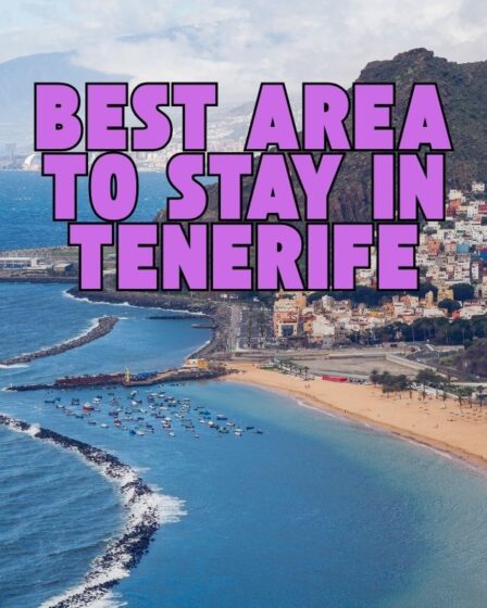 Best Area to Stay in Tenerife