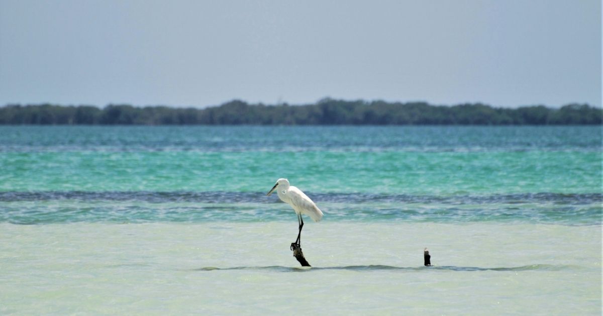 Isla Guanaja Honduras