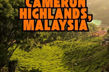 Cameron Highlands