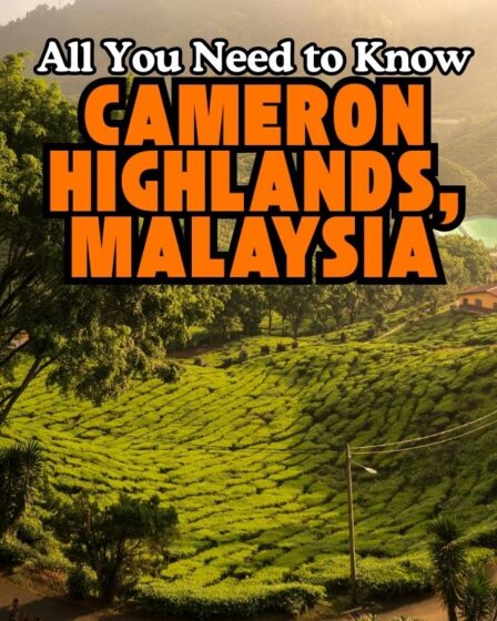 Cameron Highlands