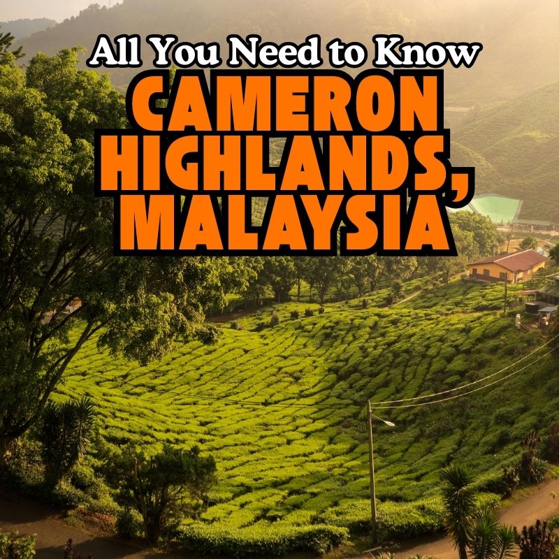 Cameron Highlands
