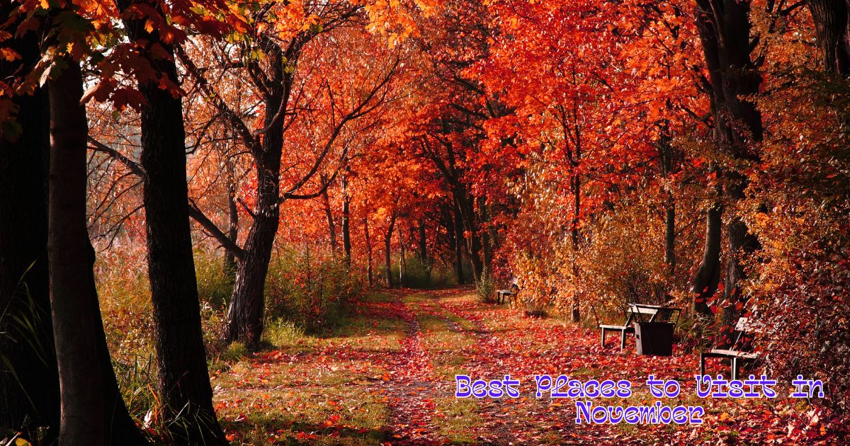 Best Places to Visit in November