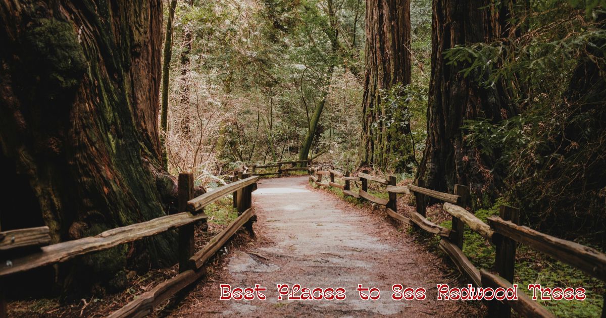 North America North America