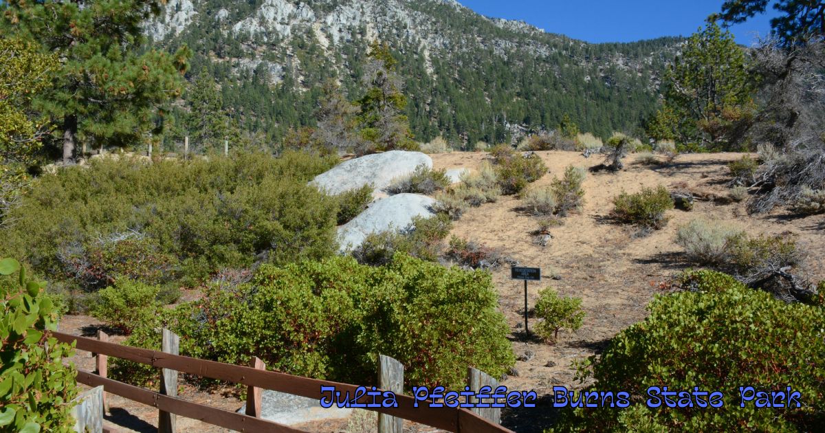 Julia Pfeiffer Burns State Park