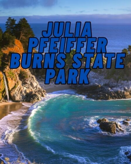 Julia Pfeiffer Burns State Park