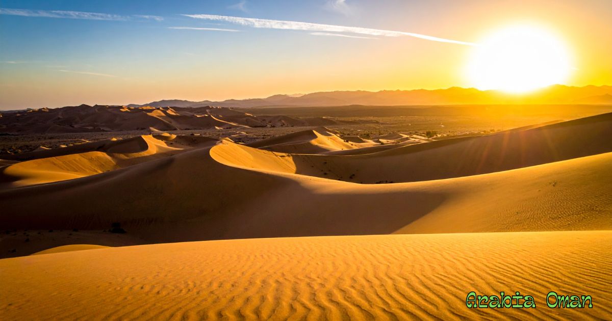 Night under the stars