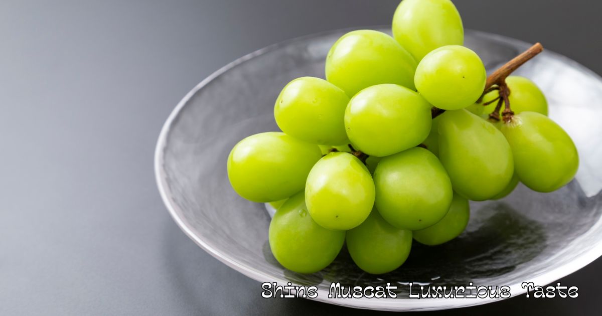 Shine Muscat