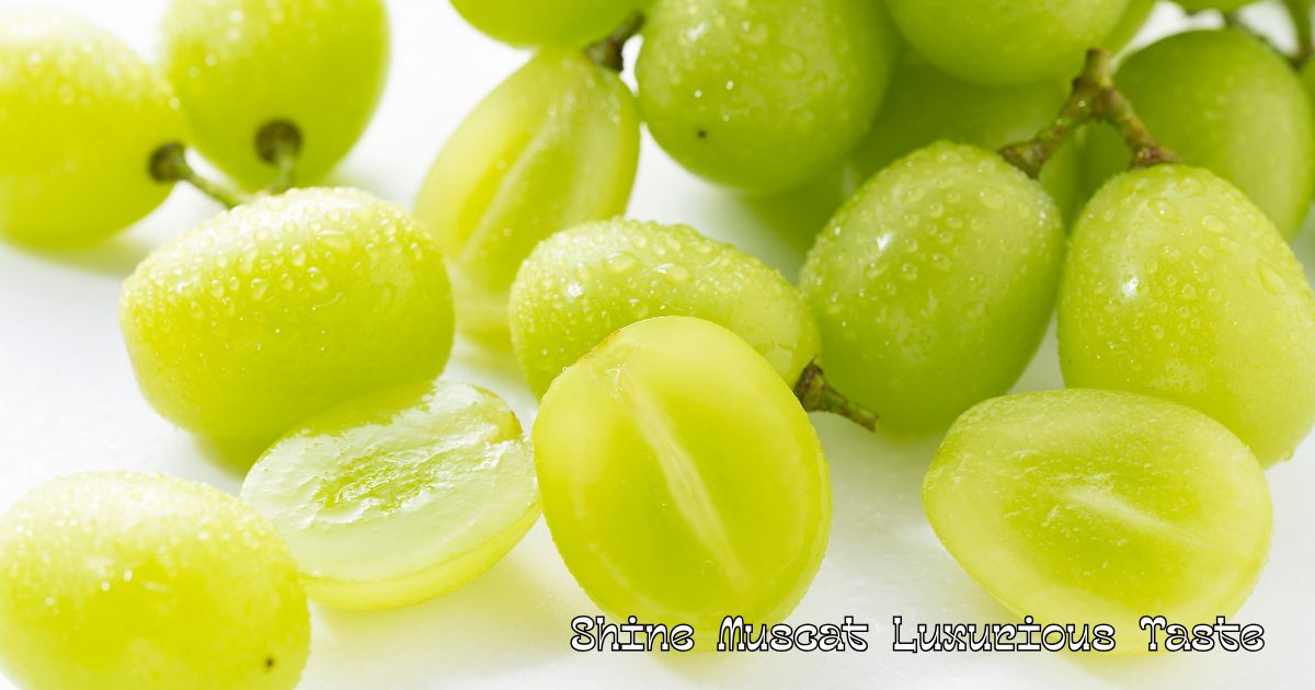 Shine Muscat