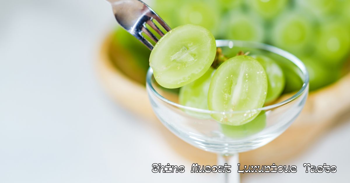 Luxurious Taste