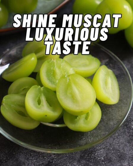 Shine Muscat