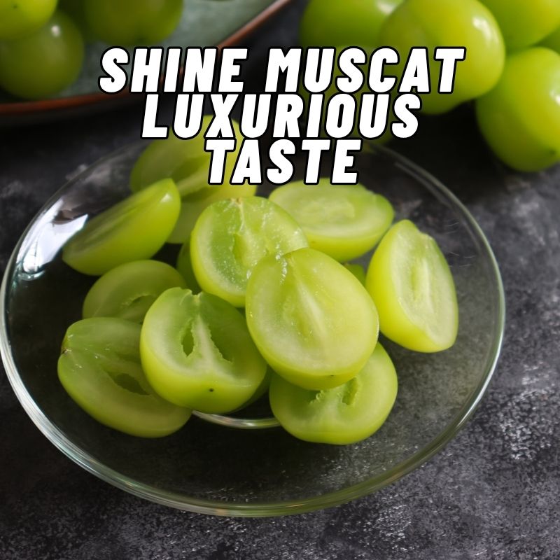 Shine Muscat