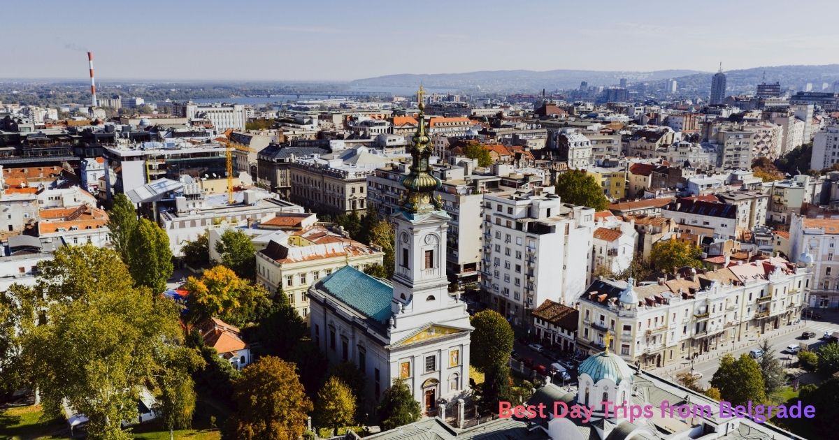 Novi Sad Novi Sad