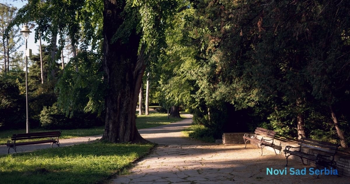 Novi Sad Serbia Novi Sad Serbia