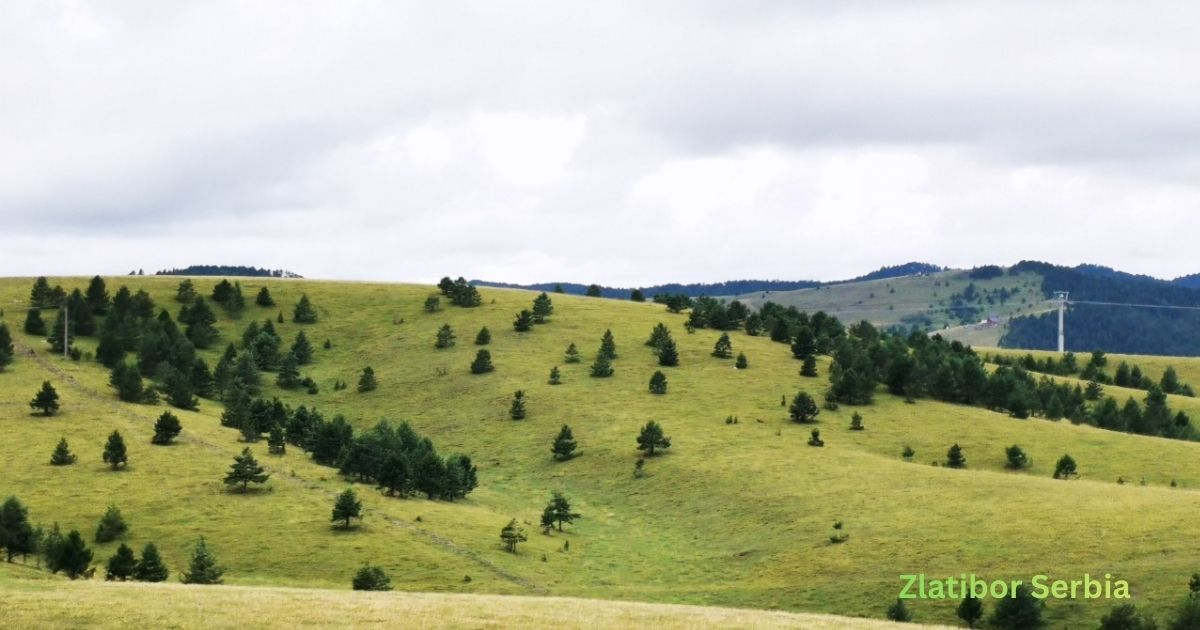 Zlatibor Serbia
